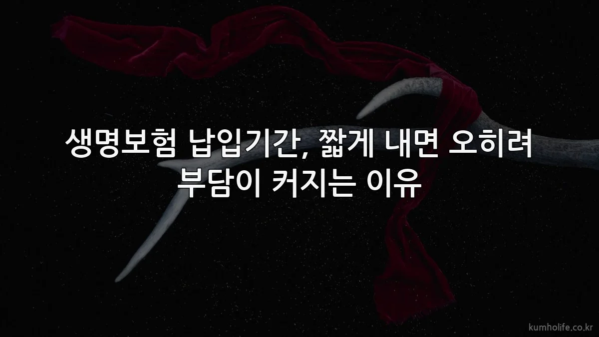 생명보험 납입기간, 짧게 내면 오히려 부담이 커지는 이유