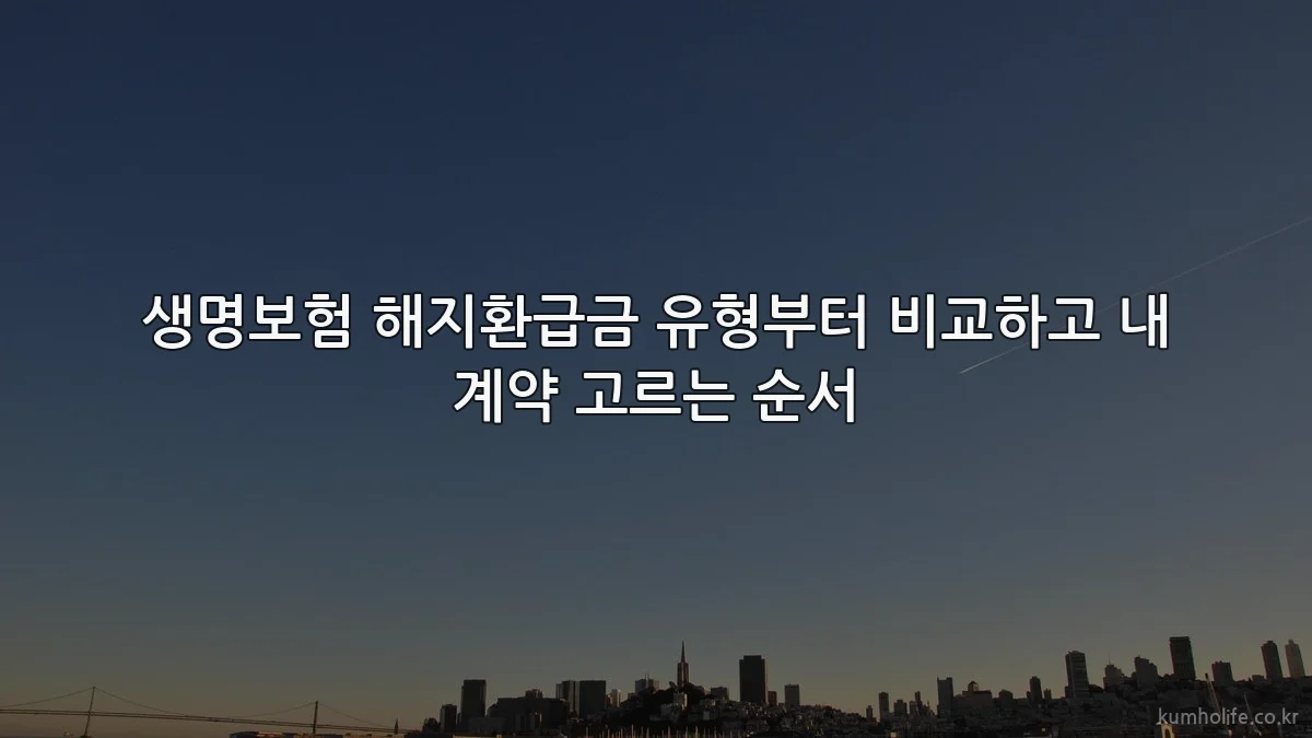 생명보험 해지환급금 유형부터 비교하고 내 계약 고르는 순서