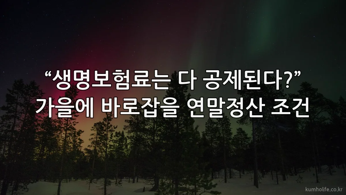 “생명보험료는 다 공제된다?” 가을에 바로잡을 연말정산 조건