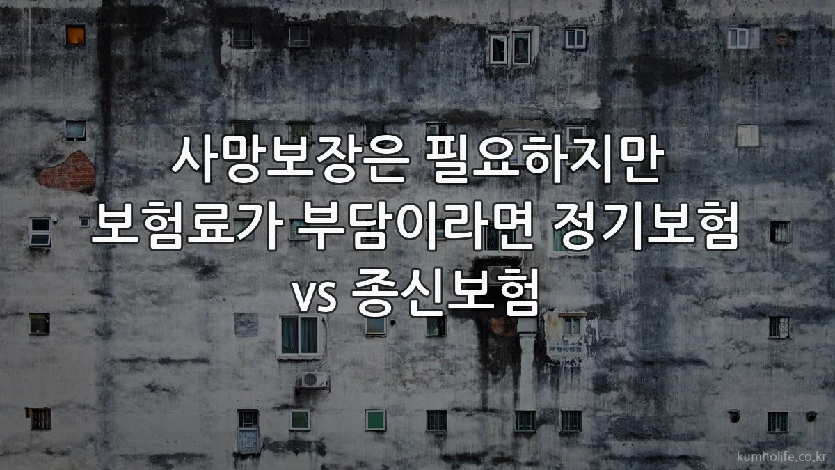 사망보장은 필요하지만 보험료가 부담이라면 정기보험 vs 종신보험