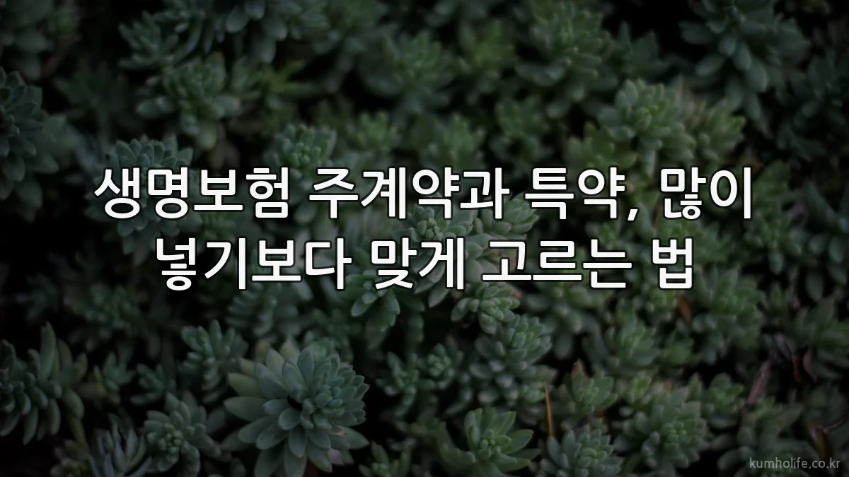 생명보험 주계약과 특약, 많이 넣기보다 맞게 고르는 법
