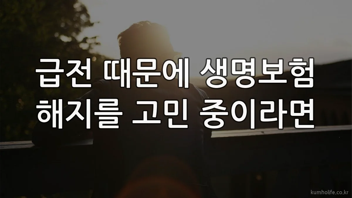 급전 때문에 생명보험 해지를 고민 중이라면