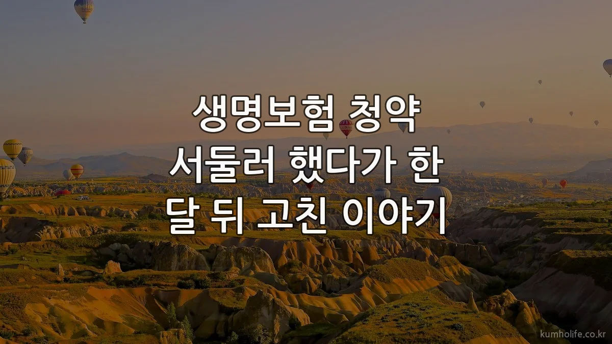 생명보험 청약 서둘러 했다가 한 달 뒤 고친 이야기