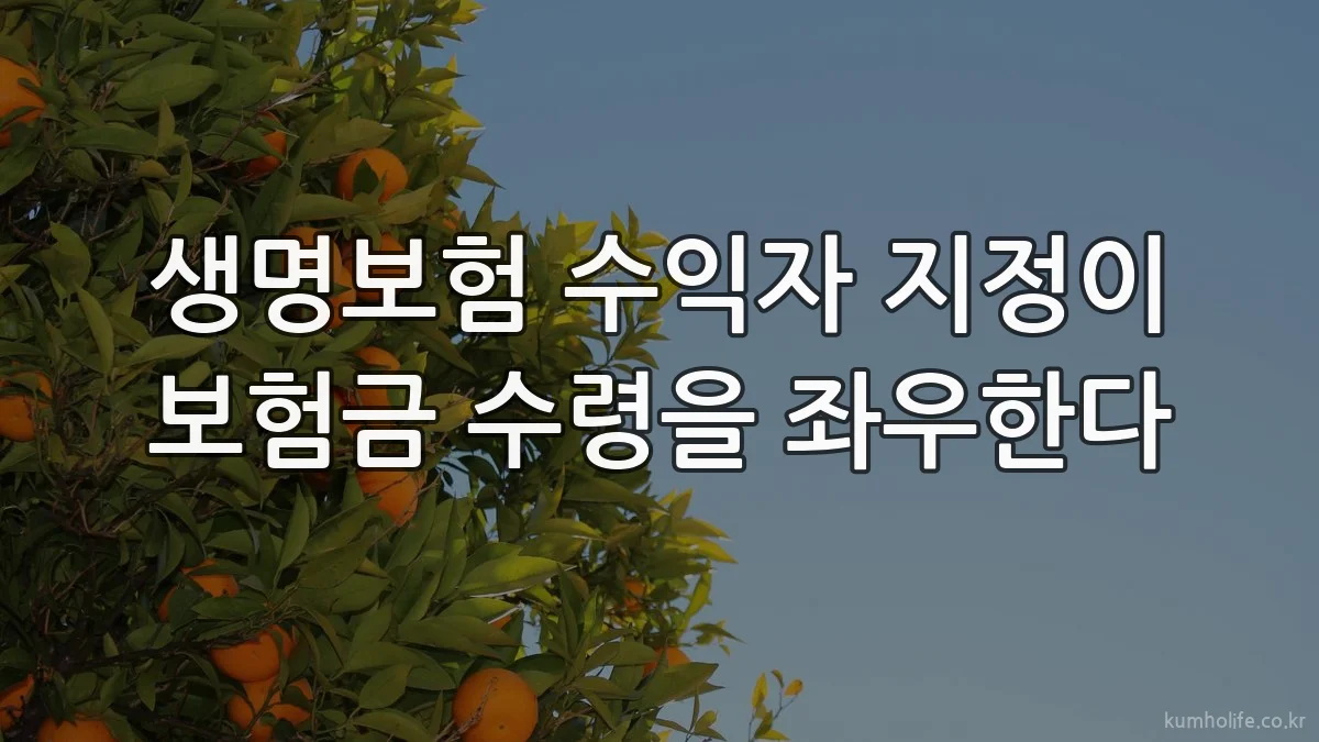 생명보험 수익자 지정이 보험금 수령을 좌우한다