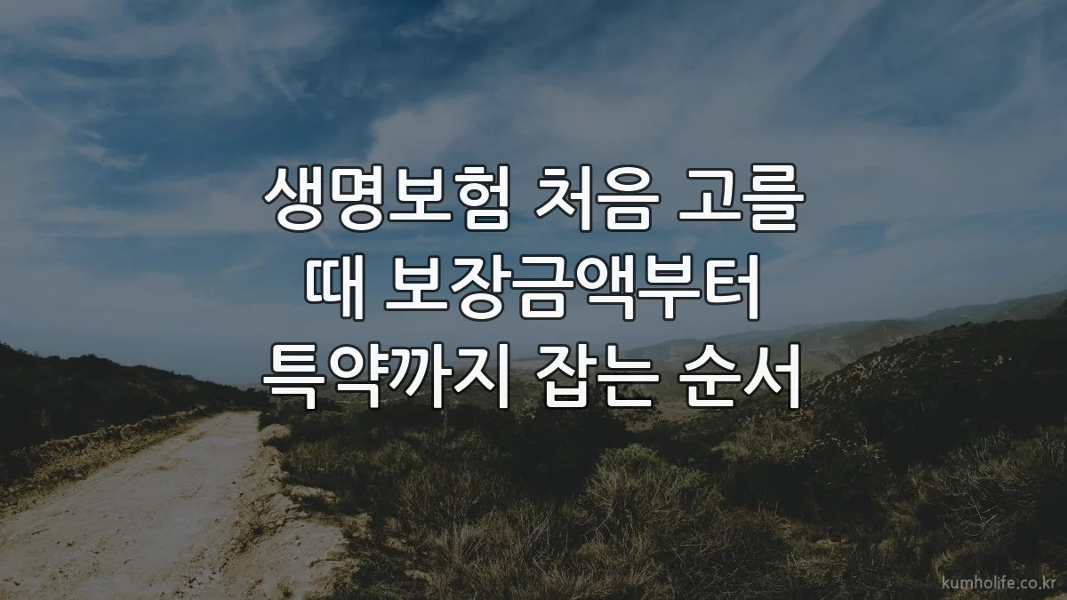 생명보험 처음 고를 때 보장금액부터 특약까지 잡는 순서
