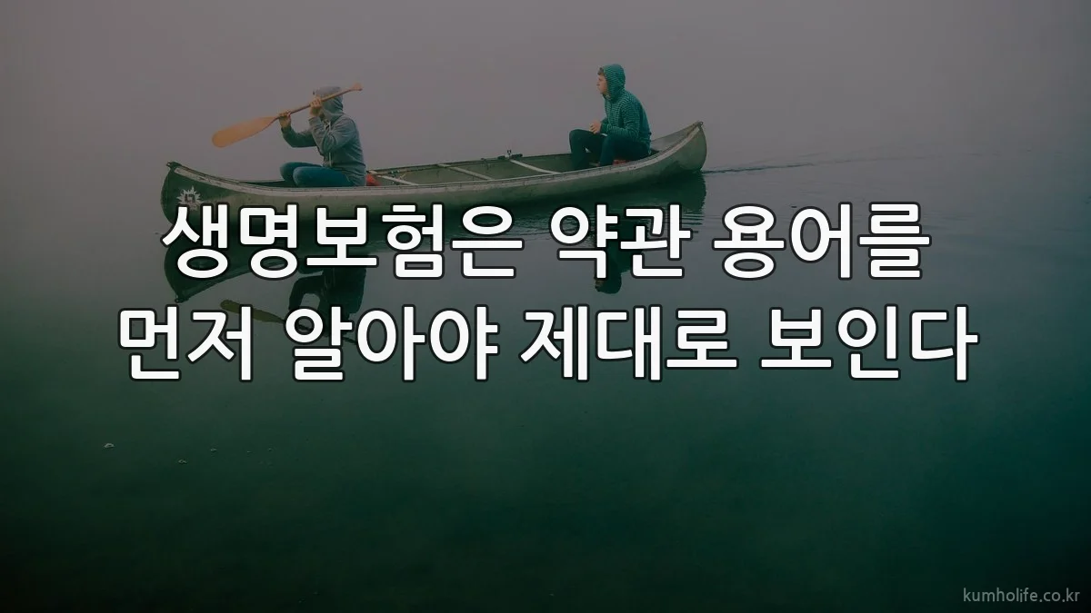 생명보험은 약관 용어를 먼저 알아야 제대로 보인다