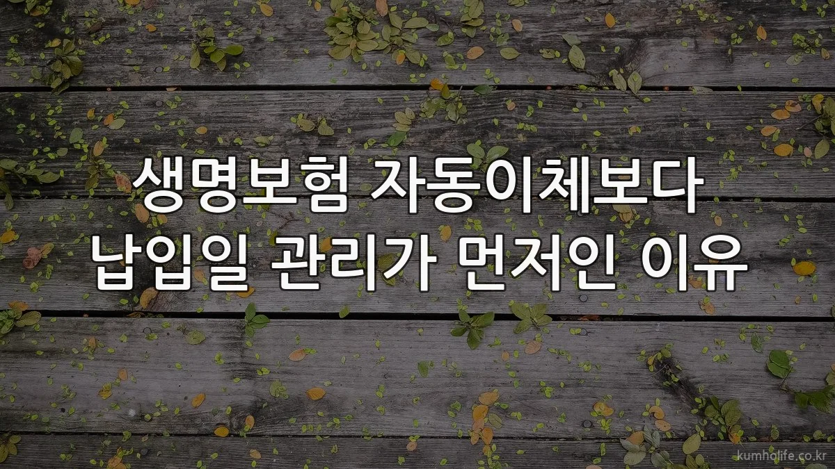 생명보험 자동이체보다 납입일 관리가 먼저인 이유