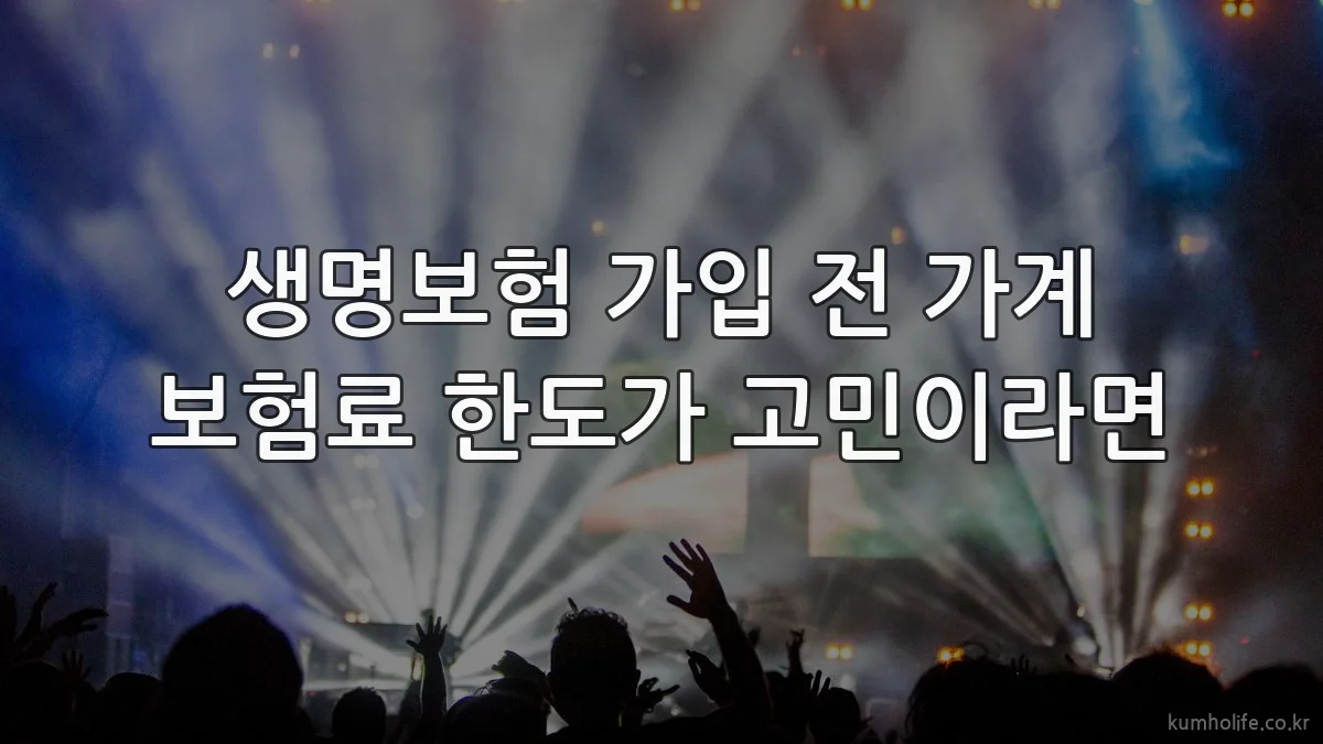 생명보험 가입 전 가계 보험료 한도가 고민이라면
