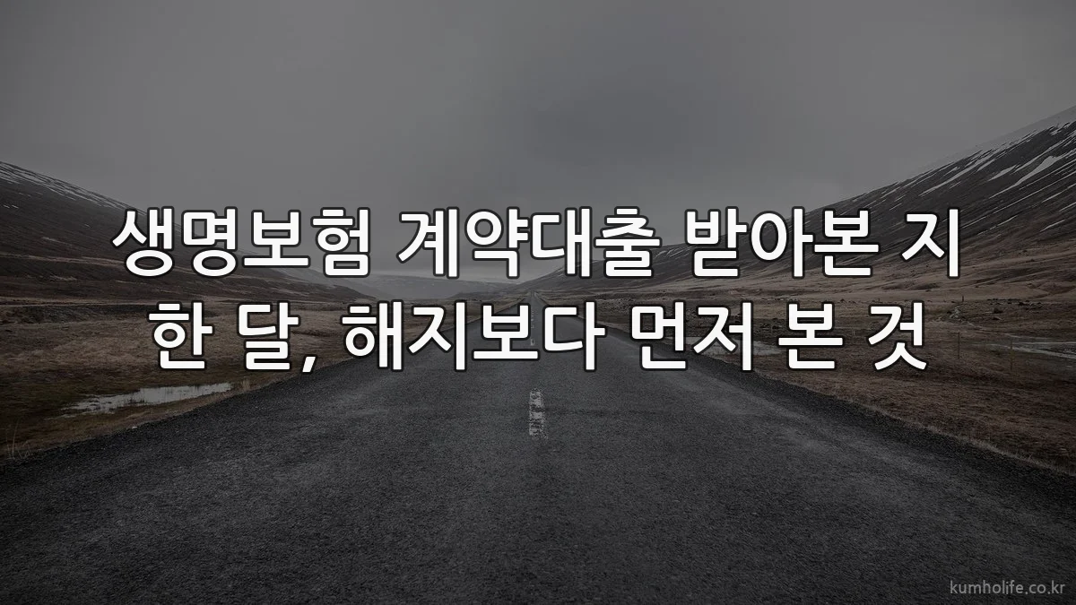 생명보험 계약대출 받아본 지 한 달, 해지보다 먼저 본 것