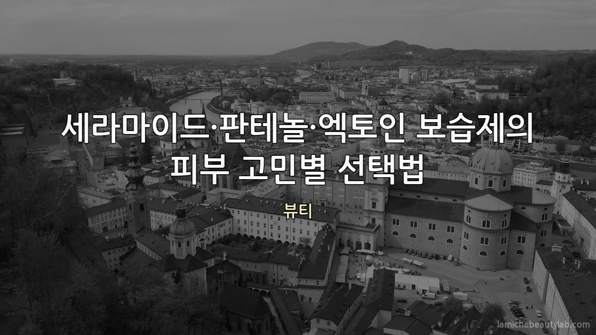 세라마이드·판테놀·엑토인 보습제의 피부 고민별 선택법