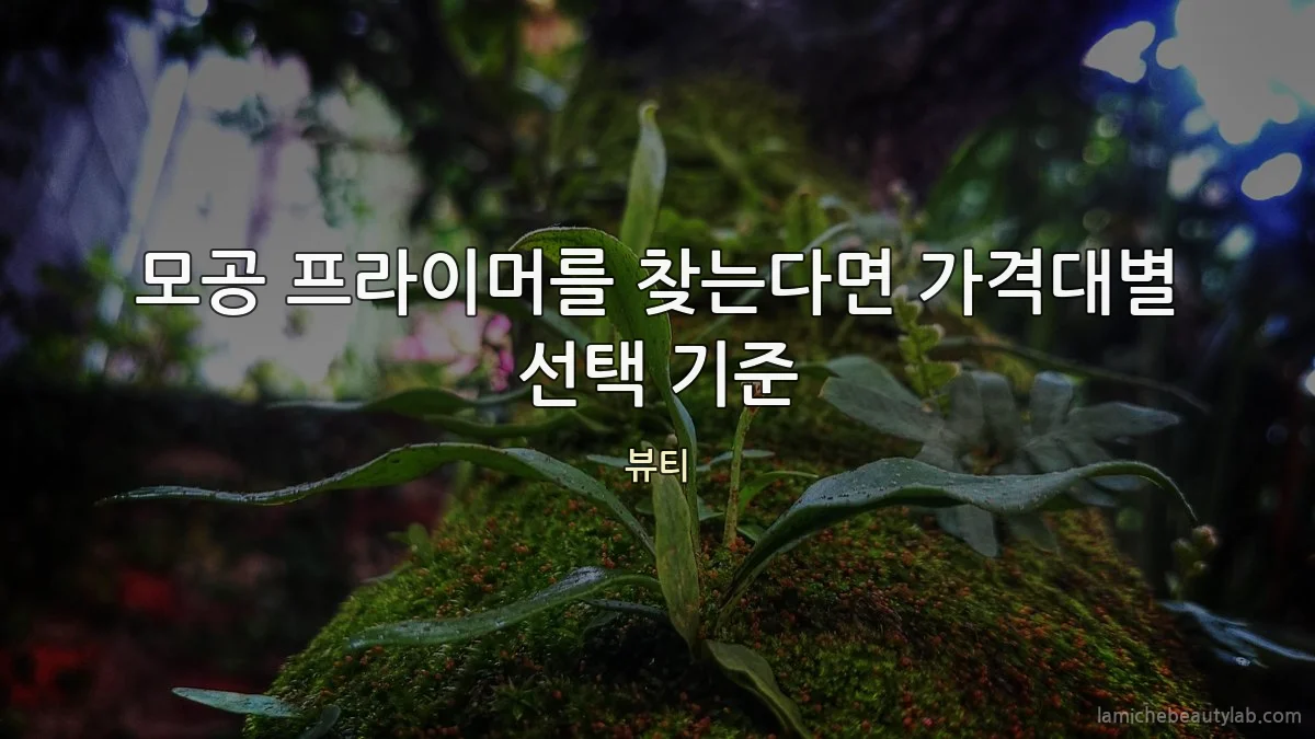 모공 프라이머를 찾는다면 가격대별 선택 기준