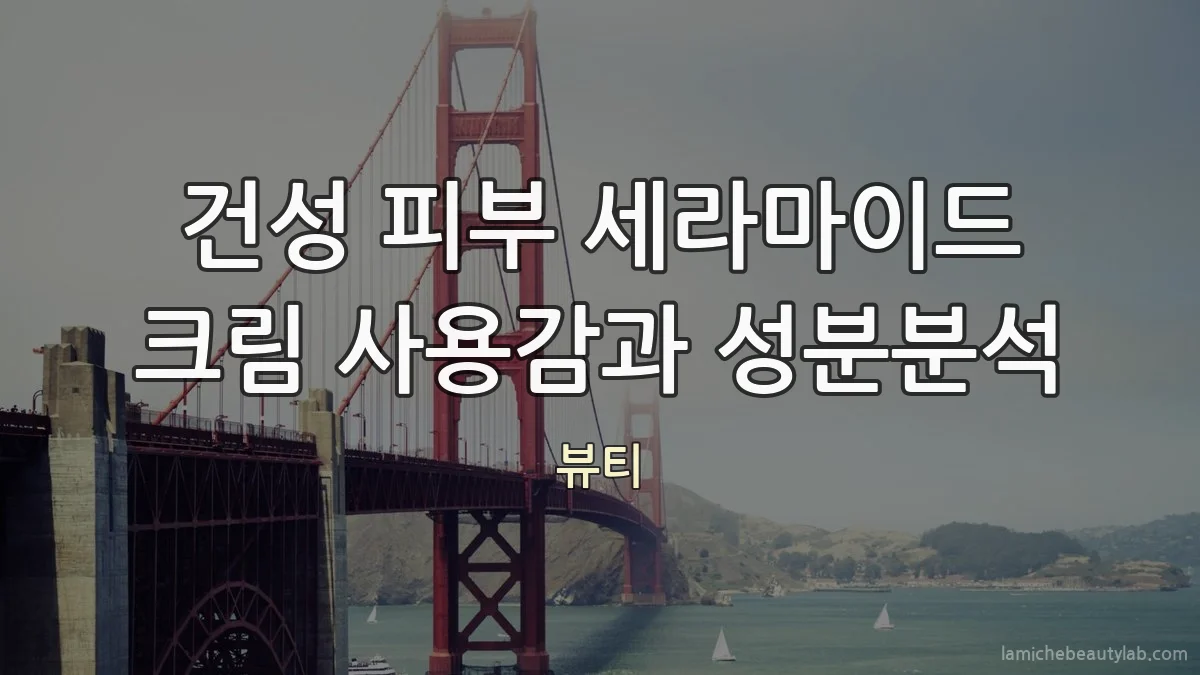 건성 피부 세라마이드 크림 사용감과 성분분석