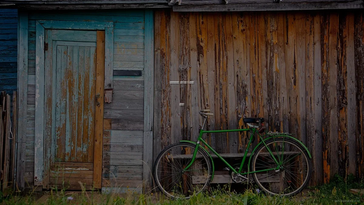 랑세스코리아, 흔한 실수 5가지와 예방법