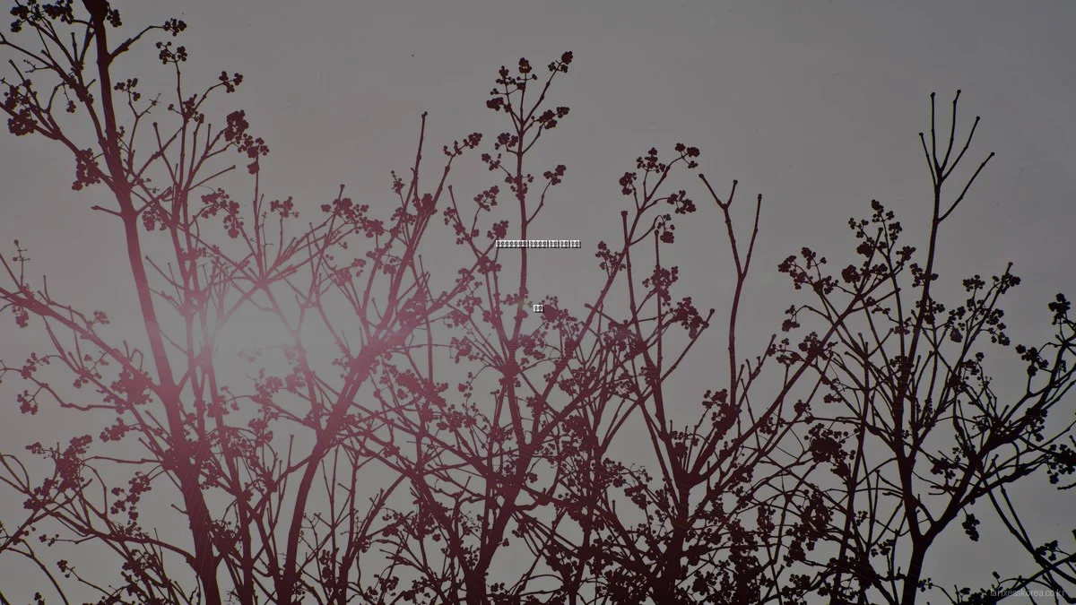 랑세스코리아와 함께하는 봄철 환경 보호 방법