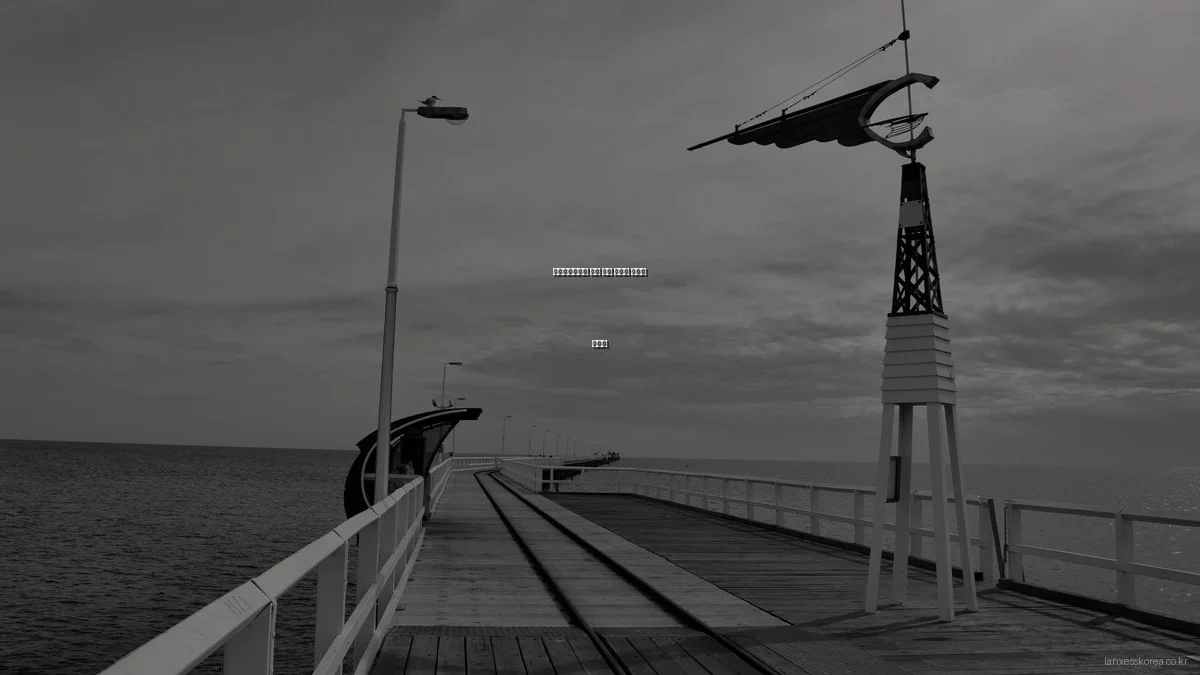 랑세스코리아의 주요 제품 비교와 사용법 가이드