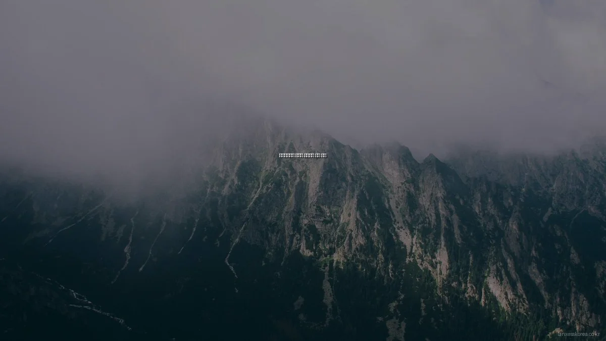 랑세스코리아 고성능 플라스틱 비교 분석