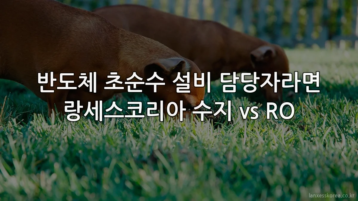 반도체 초순수 설비 담당자라면 랑세스코리아 수지 vs RO