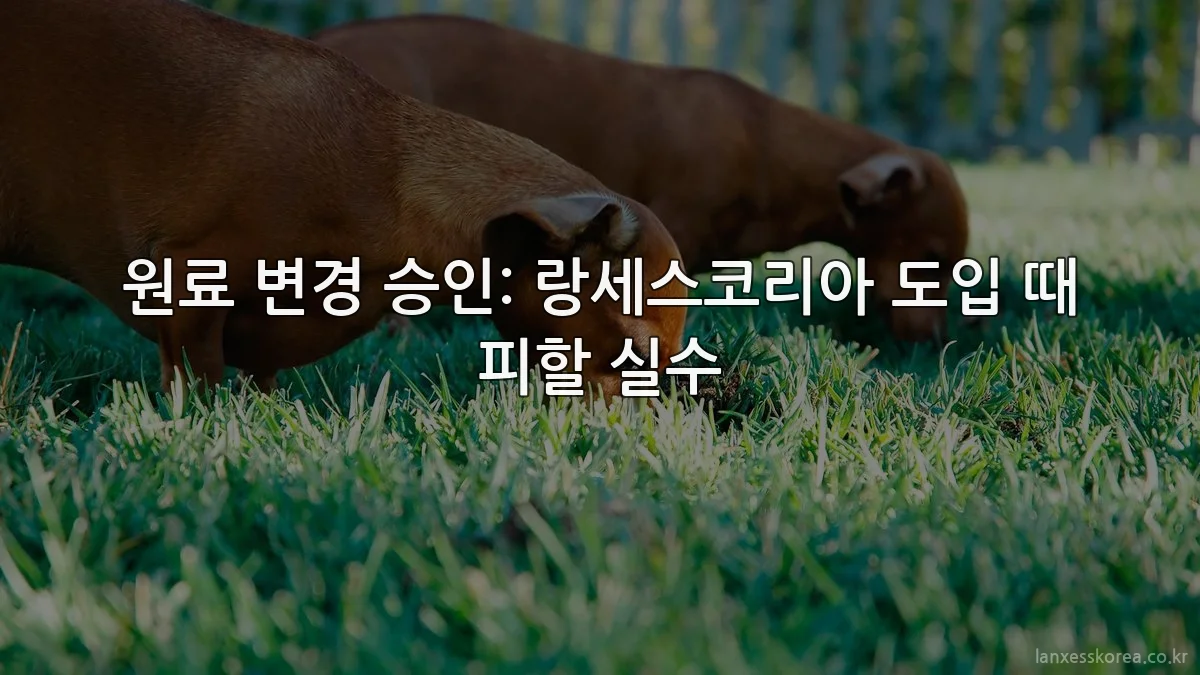 원료 변경 승인: 랑세스코리아 도입 때 피할 실수
