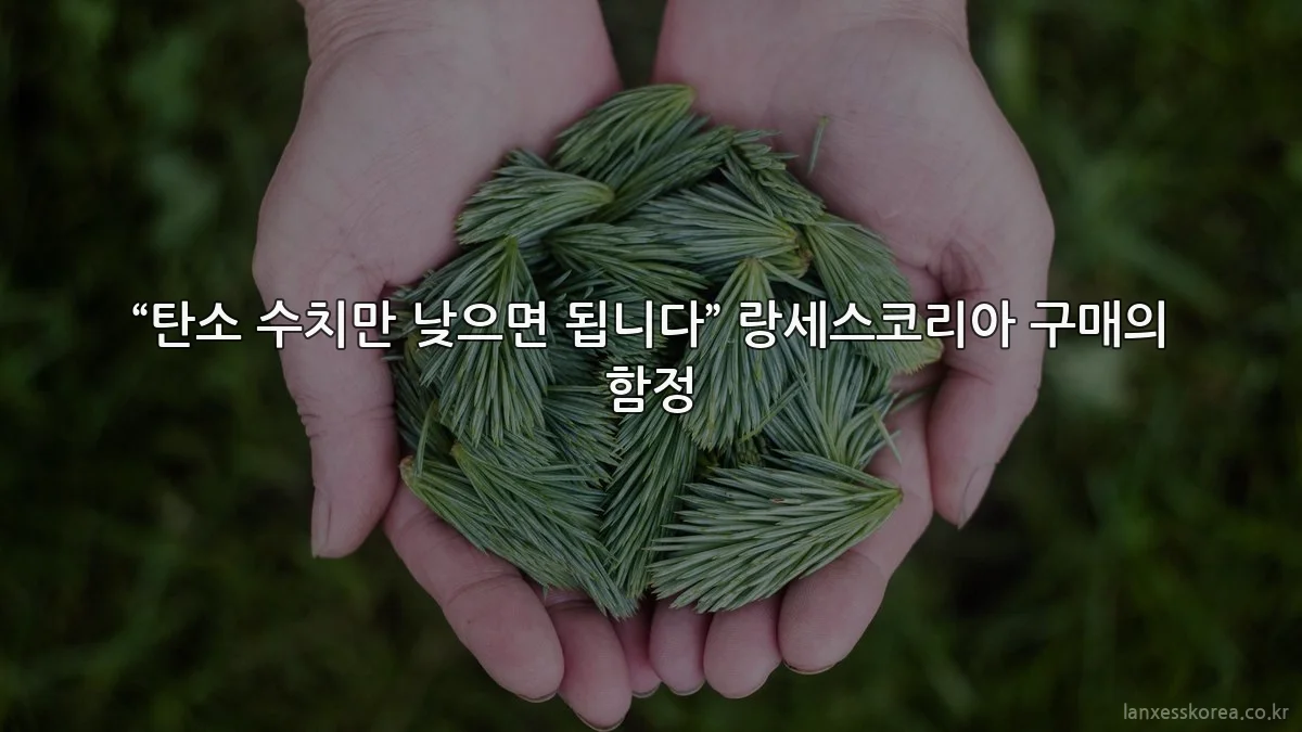 “탄소 수치만 낮으면 됩니다” 랑세스코리아 구매의 함정