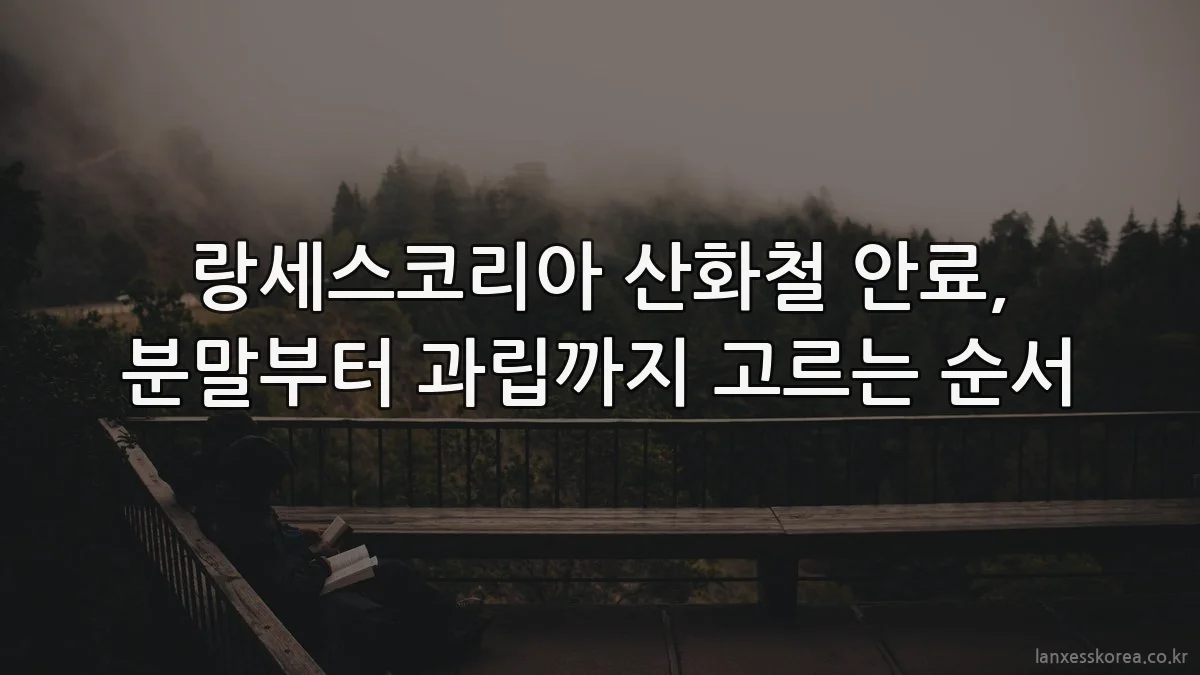 랑세스코리아 산화철 안료, 분말부터 과립까지 고르는 순서