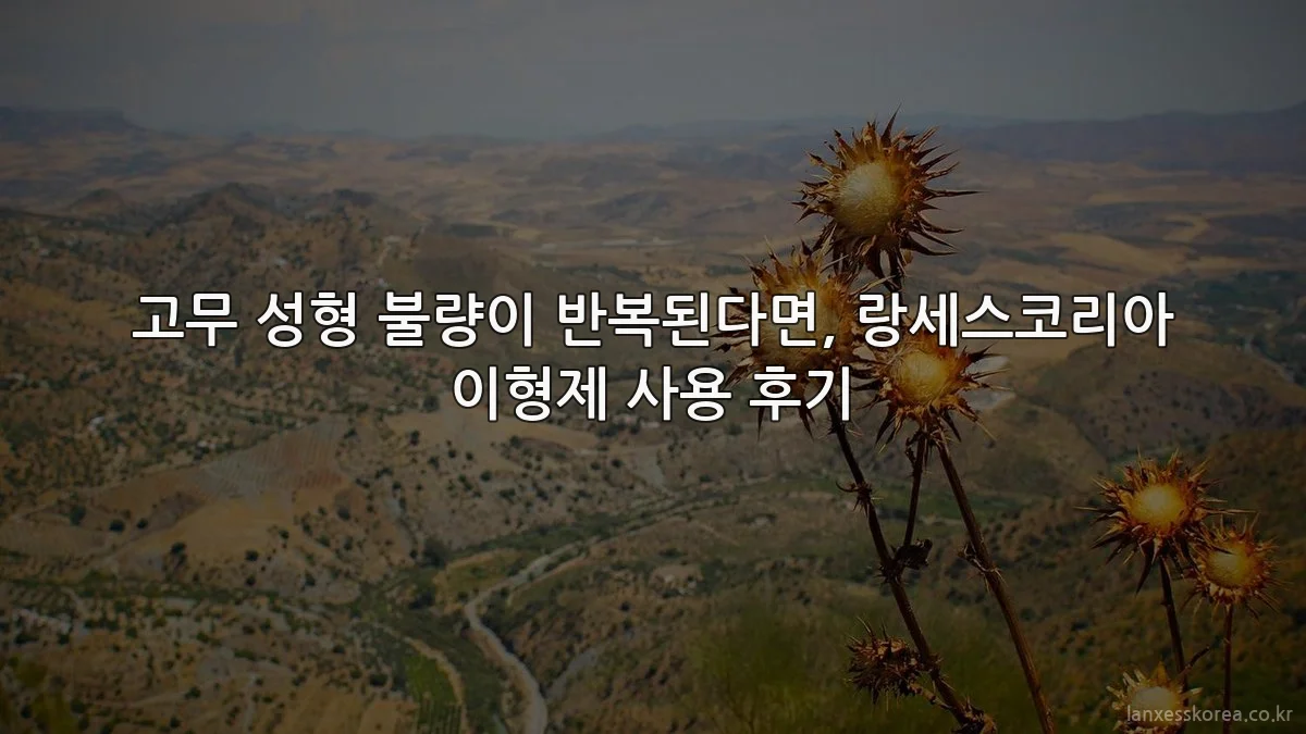 고무 성형 불량이 반복된다면, 랑세스코리아 이형제 사용 후기