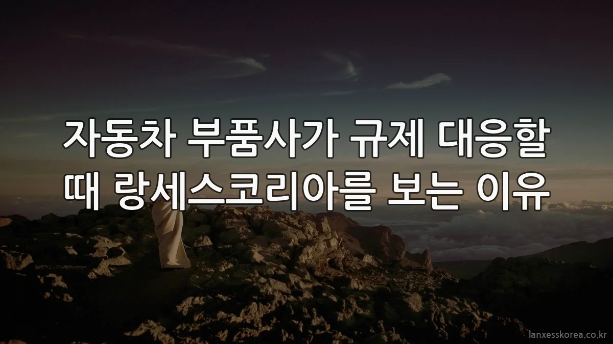 자동차 부품사가 규제 대응할 때 랑세스코리아를 보는 이유