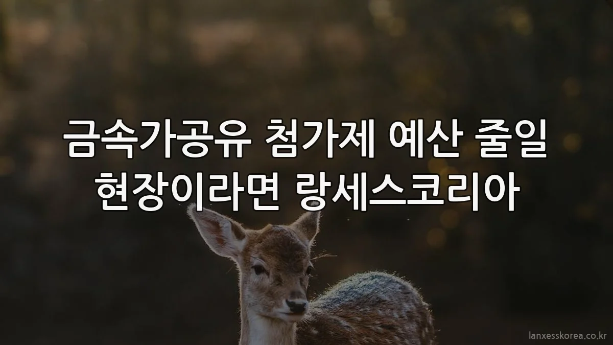 금속가공유 첨가제 예산 줄일 현장이라면 랑세스코리아