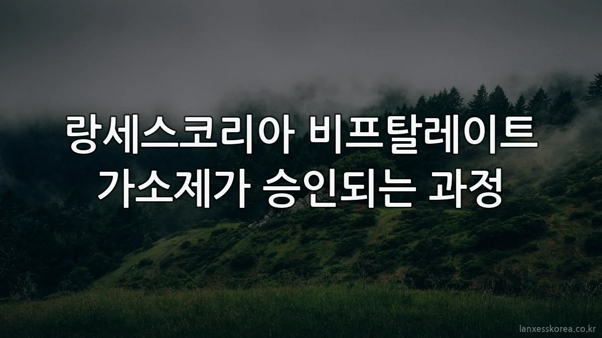 랑세스코리아 비프탈레이트 가소제가 승인되는 과정