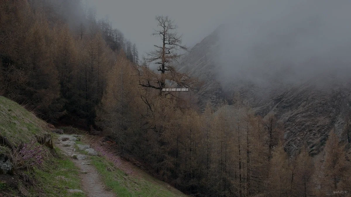 법률 상담 시 빈번한 실수와 피하는 법