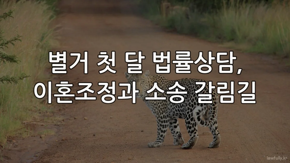 별거 첫 달 법률상담, 이혼조정과 소송 갈림길