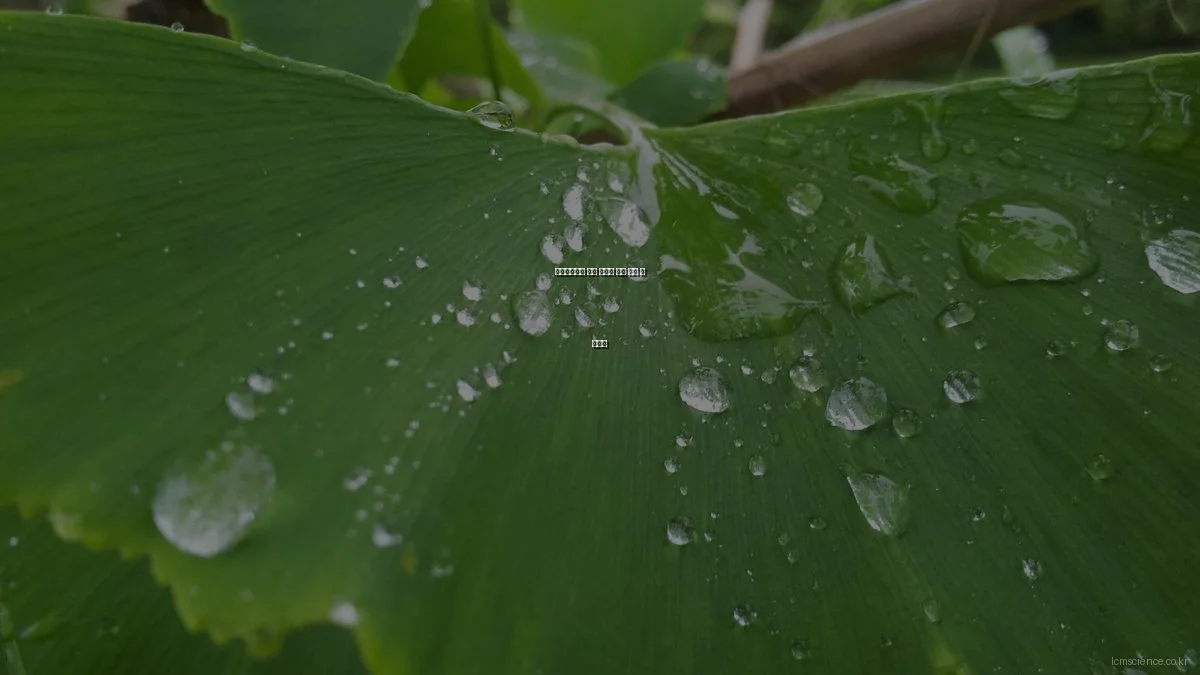 타임스프레드 퀴즈 올바른 정답 찾는 법 가이드