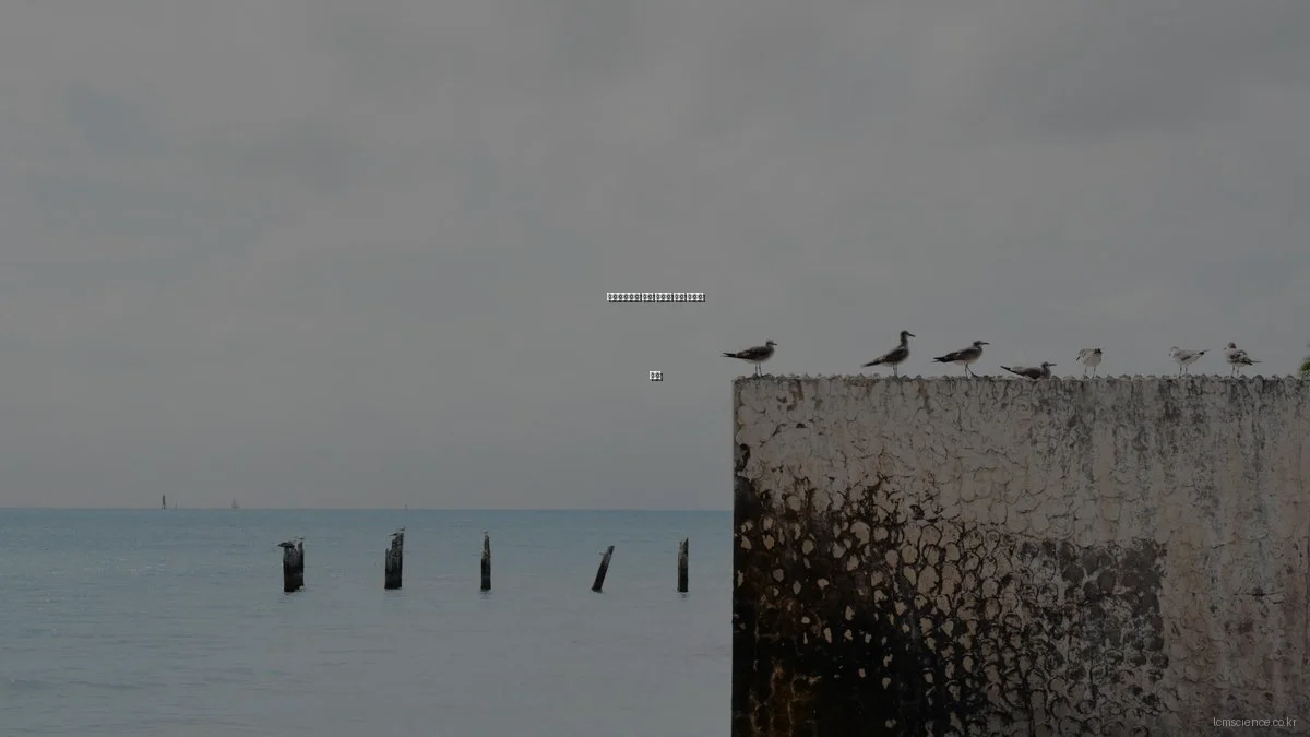 타임스프레드 퀴즈 정답을 찾는 숨겨진 꿀팁