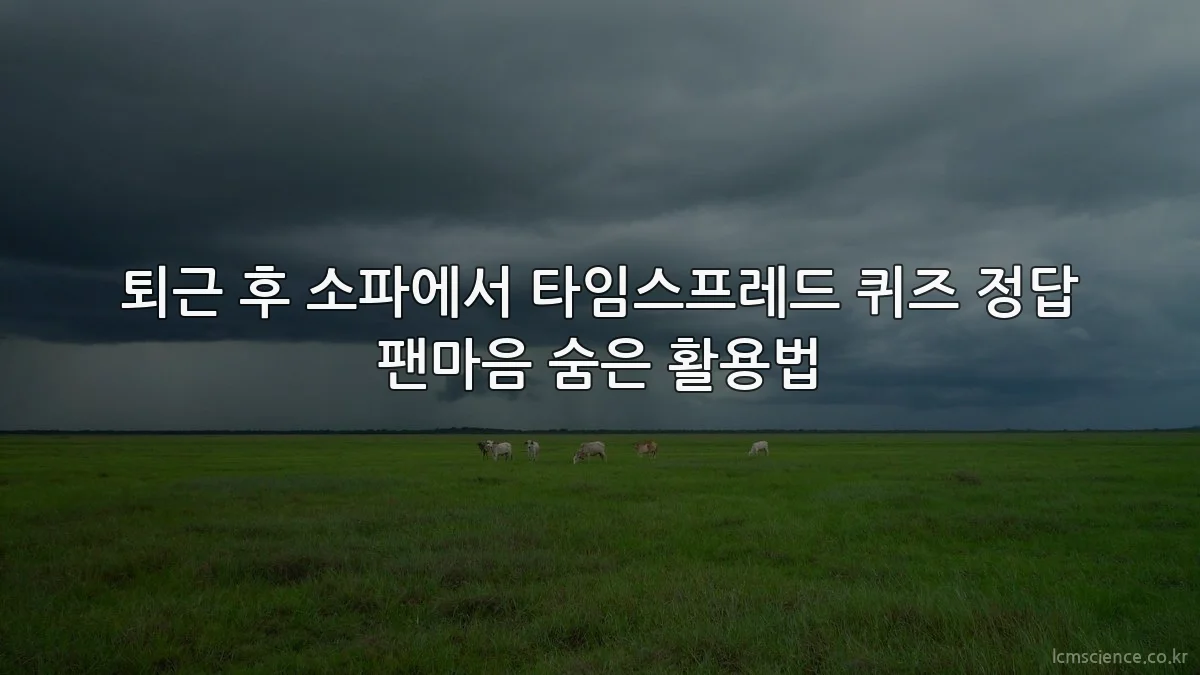 퇴근 후 소파에서 타임스프레드 퀴즈 정답 팬마음 숨은 활용법