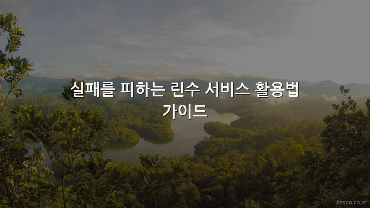 실패를 피하는 린수 서비스 활용법 가이드