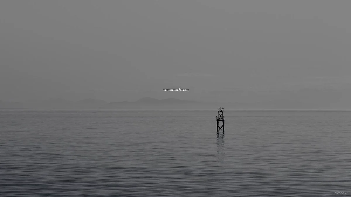 예산별 린수 솔루션 추천! 가성비 분석