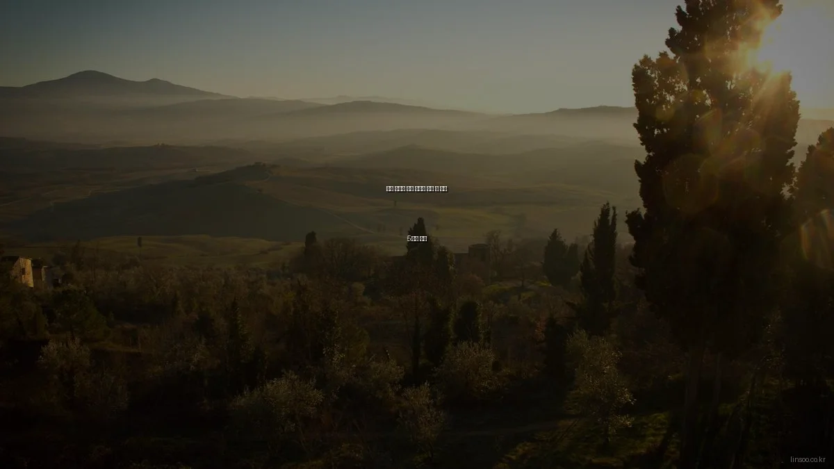 린수 솔루션 실패 사례와 피할 수 있는 5가지 실수