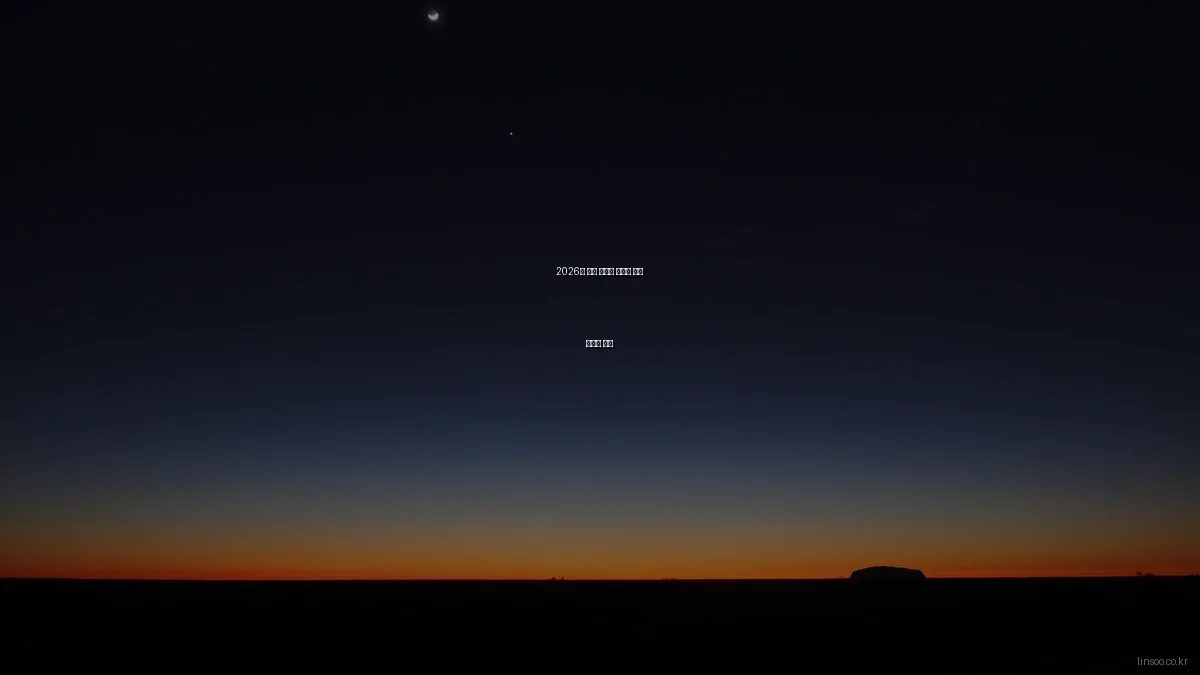 2026년 린수 서비스 예산별 최적 솔루션 추천