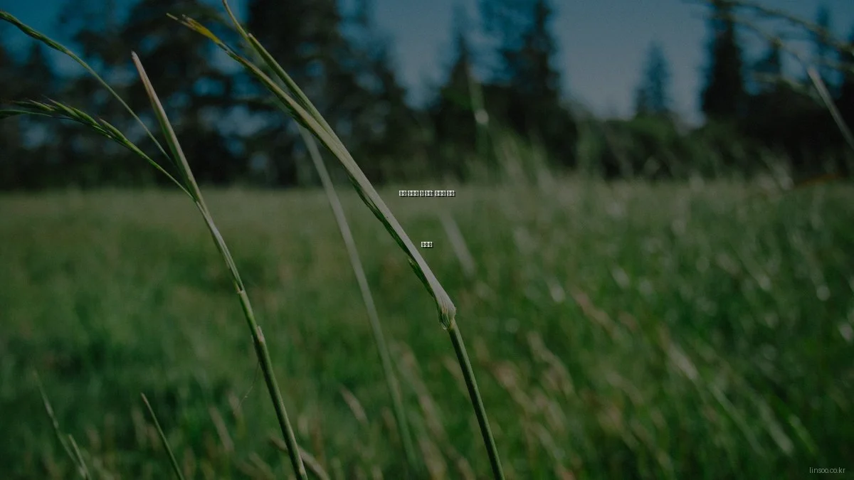 린수 서비스 첫 걸음: 초보자 입문 가이드