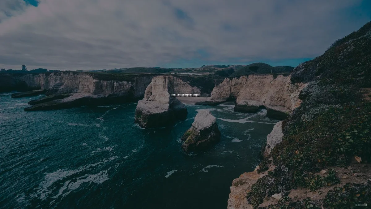 린수의 맞춤형 서비스 솔루션 비교 분석