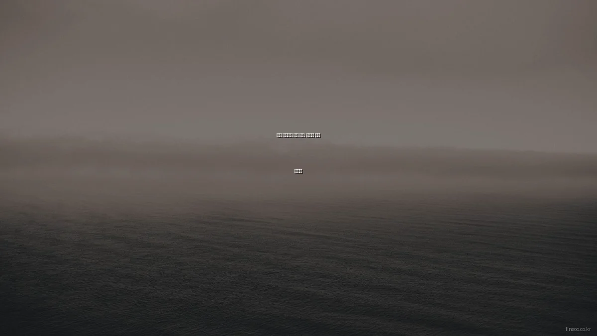 린수 서비스의 성공 비결: 전문가 심층 인터뷰