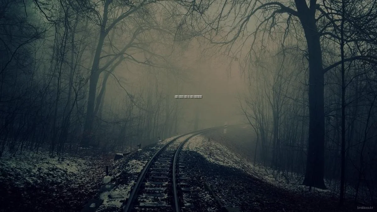 린수 솔루션 구매 전 필수 체크리스트