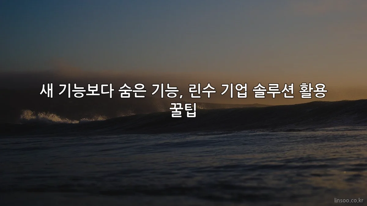 새 기능보다 숨은 기능, 린수 기업 솔루션 활용 꿀팁