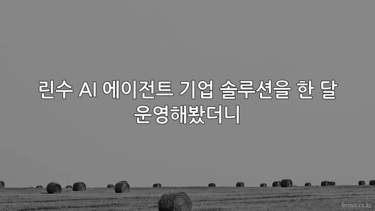린수 AI 에이전트 기업 솔루션을 한 달 운영해봤더니