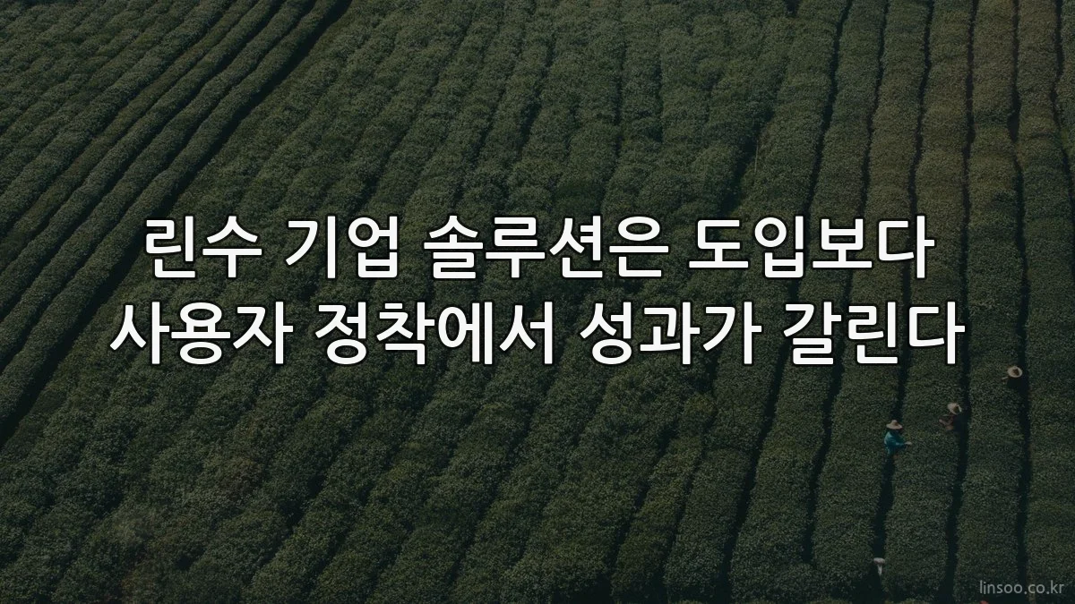 린수 기업 솔루션은 도입보다 사용자 정착에서 성과가 갈린다
