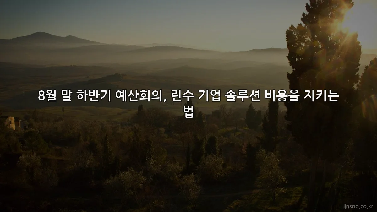 8월 말 하반기 예산회의, 린수 기업 솔루션 비용을 지키는 법