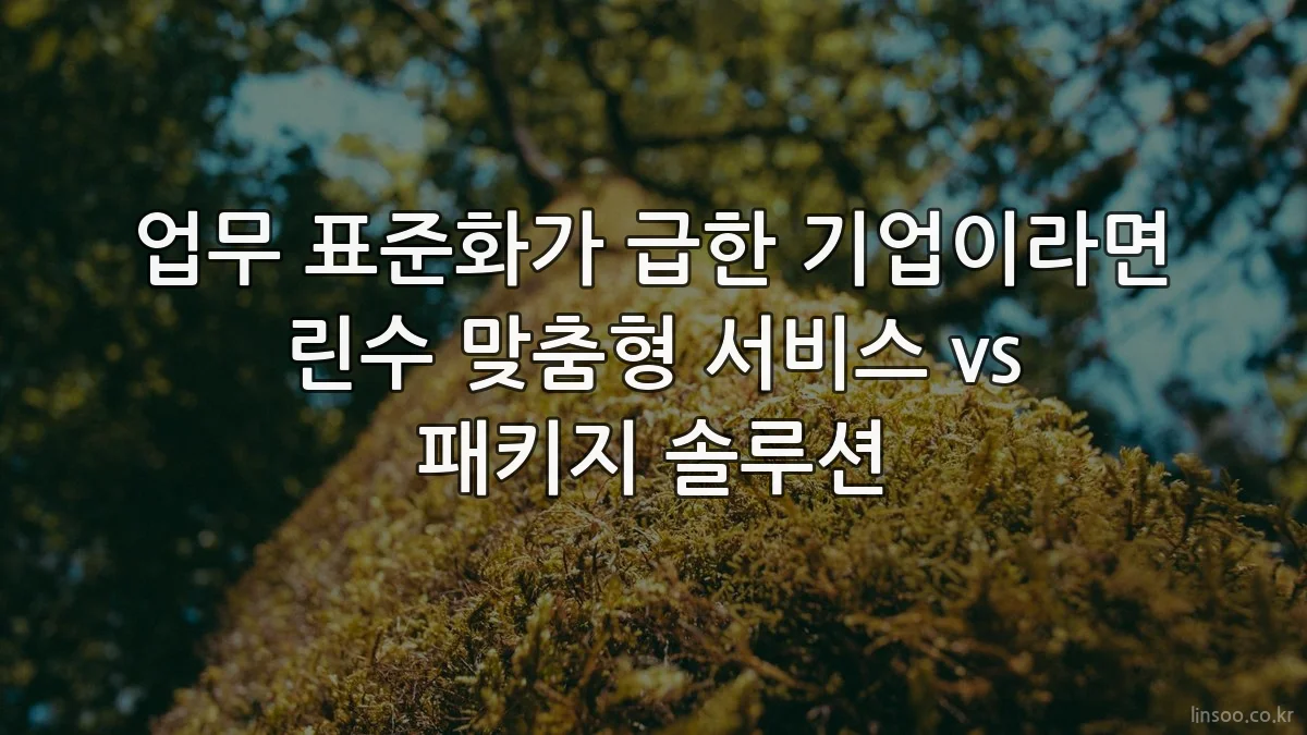 업무 표준화가 급한 기업이라면 린수 맞춤형 서비스 vs 패키지 솔루션