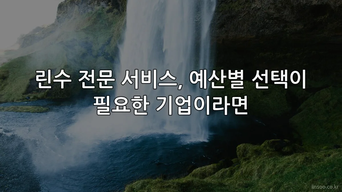 린수 전문 서비스, 예산별 선택이 필요한 기업이라면