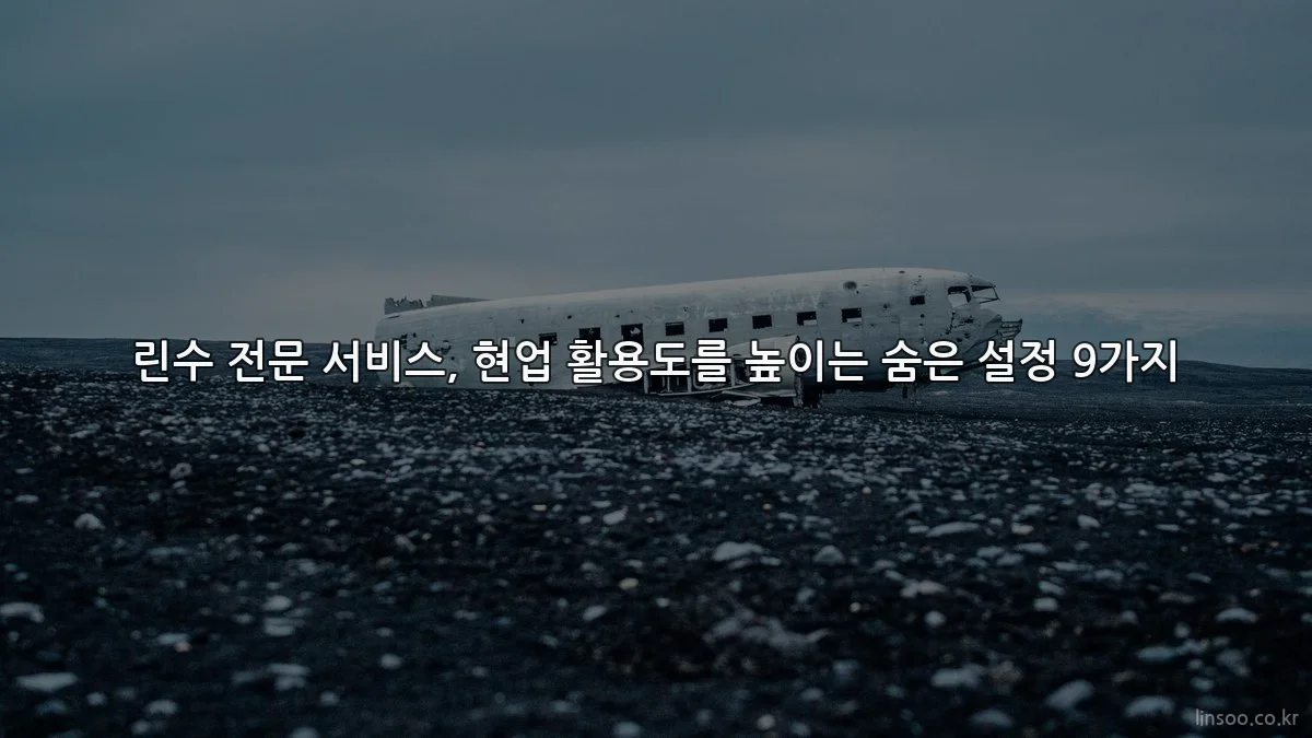 린수 전문 서비스, 현업 활용도를 높이는 숨은 설정 9가지