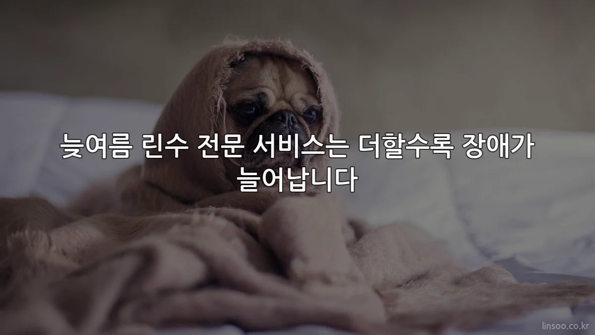 늦여름 린수 전문 서비스는 더할수록 장애가 늘어납니다