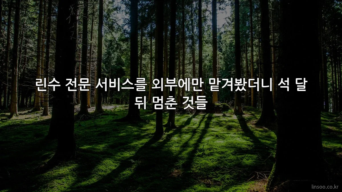 린수 전문 서비스를 외부에만 맡겨봤더니 석 달 뒤 멈춘 것들